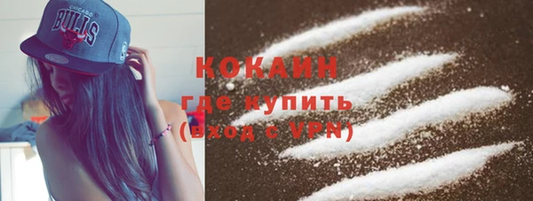 шишки Краснотурьинск
