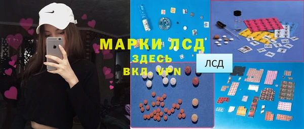 сатива Краснослободск