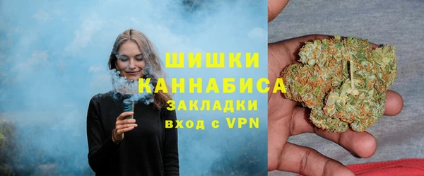шишки Краснотурьинск