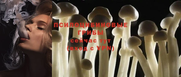 экстази Корсаков