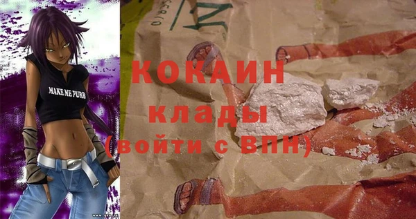 сатива Краснослободск