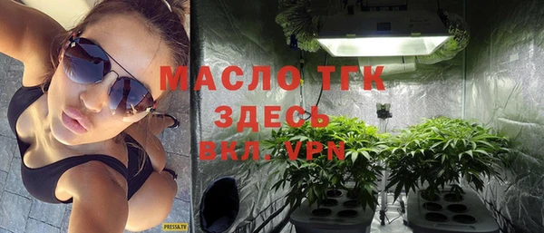 сатива Краснослободск