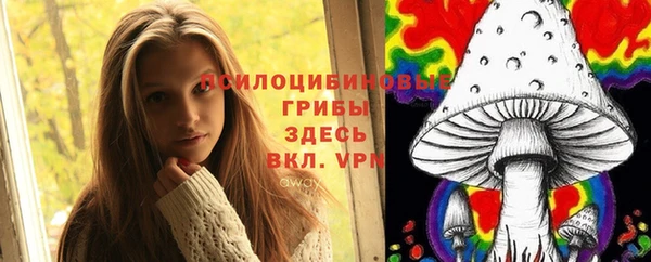 шишки Краснотурьинск
