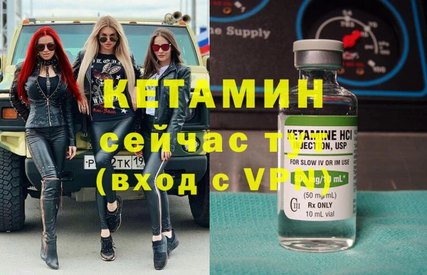 шишки Краснотурьинск